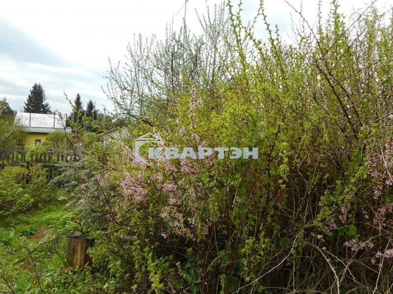 Продажа дома, Кубовая, Новосибирский район, ул. Саратовская - Фото 12