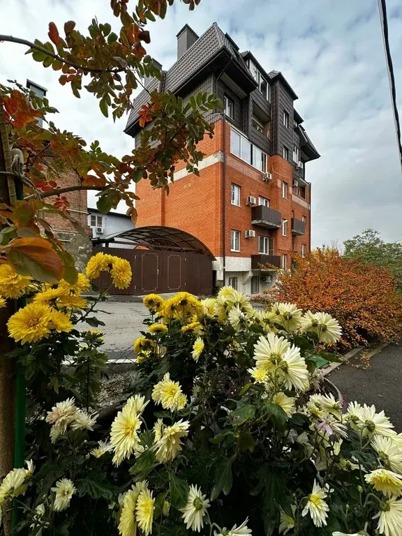 1-к. квартира, 28 м, 2/6 эт. - Фото 13