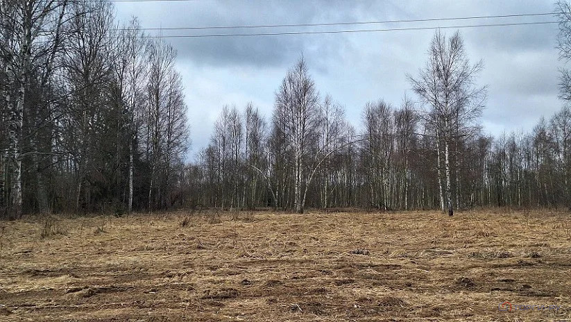 Продажа земельного участка, Давыдково, Зубцовский район - Фото 4