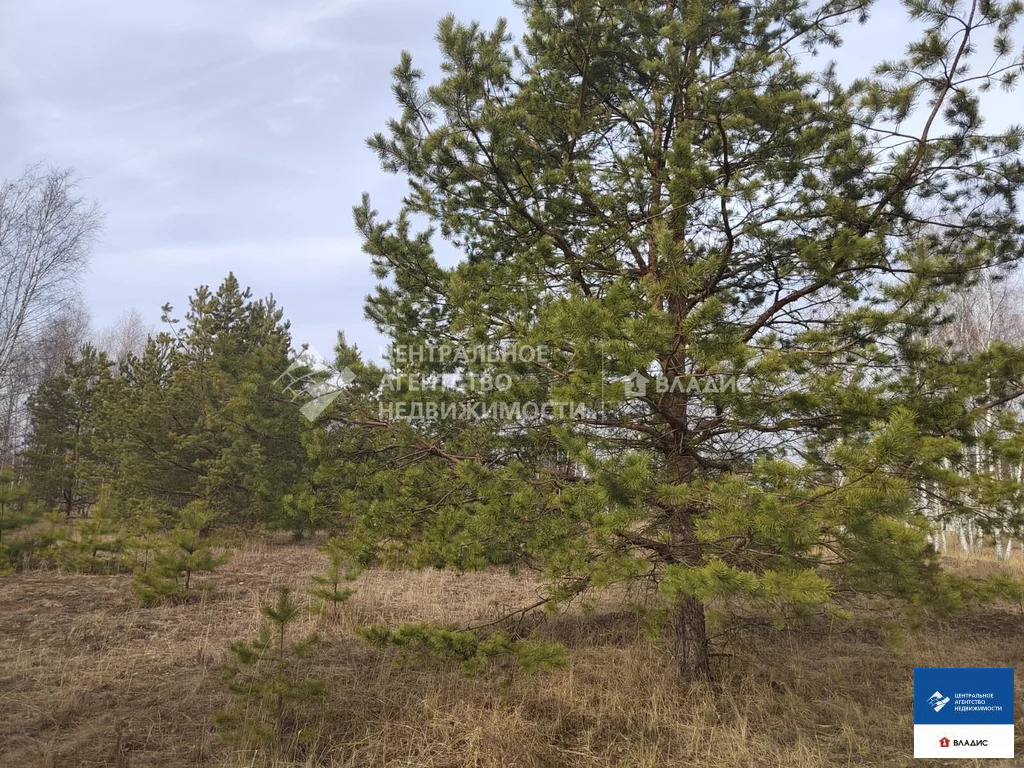 Продажа участка, Рязанский район - Фото 8
