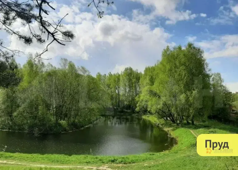 Продается участок с домом Городище, улица Лесная - Фото 30