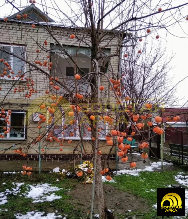 Продажа дома, Абинск, Абинский район, ул. Лермонтова - Фото 2