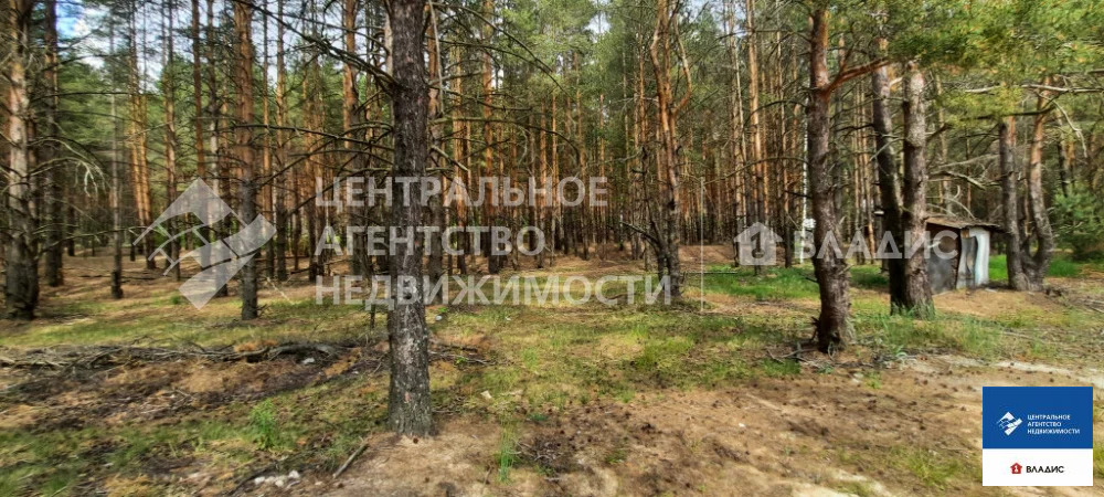 Продажа участка, Сумбулово, Спасский район, ул. Центральная - Фото 0