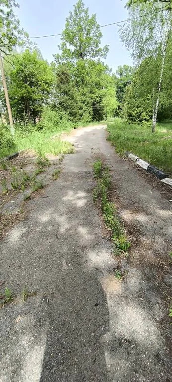 Продается ПСН 6000 м2 - Фото 5