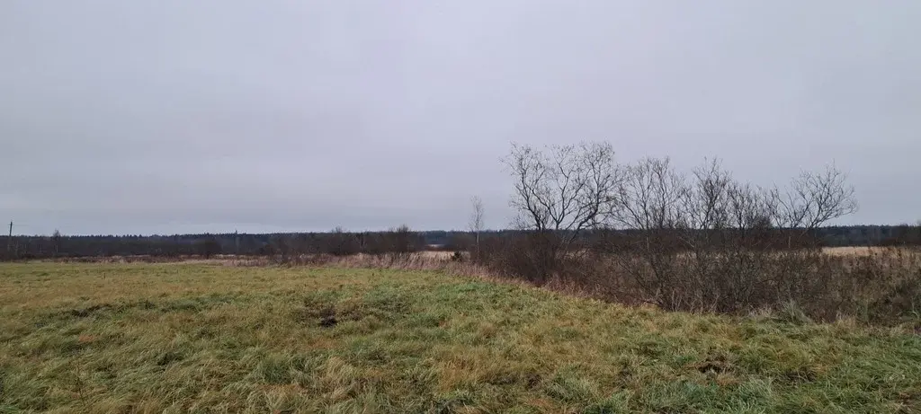 Участок 1,4 га - Фото 3