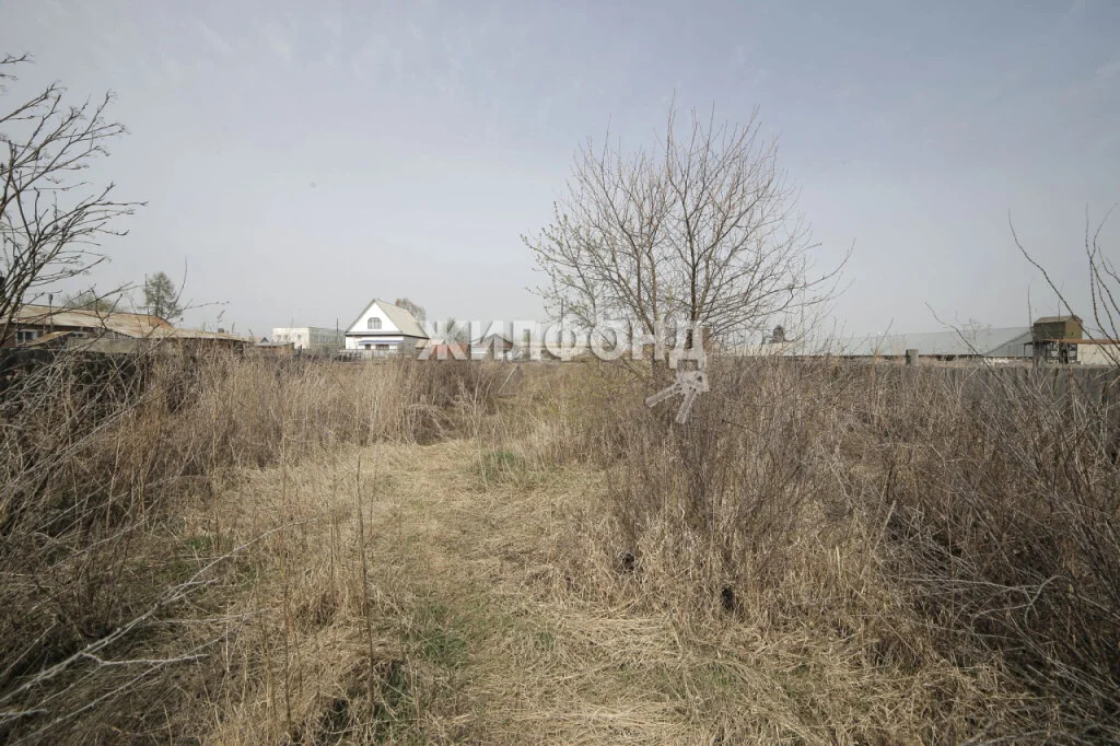 Продажа дома, Кирза, Ордынский район, ул. Восточная - Фото 7