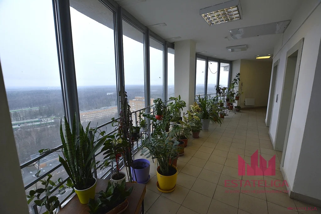 Продажа квартиры, Одинцово, ул. Маршала Бирюзова - Фото 18