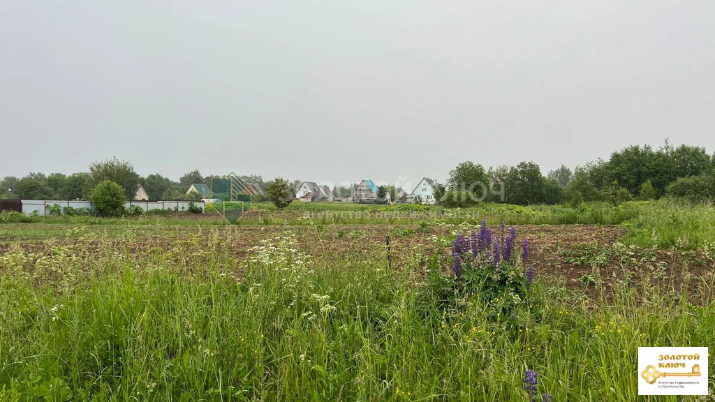 Продажа участка, Шаховской район, Новоникольское д. - Фото 0