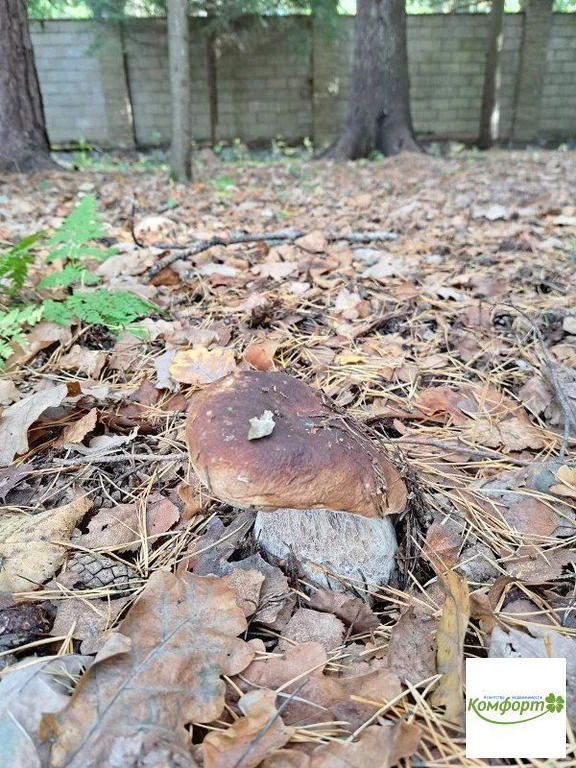 Продажа дома, Раменский район, ул. Лесная - Фото 10