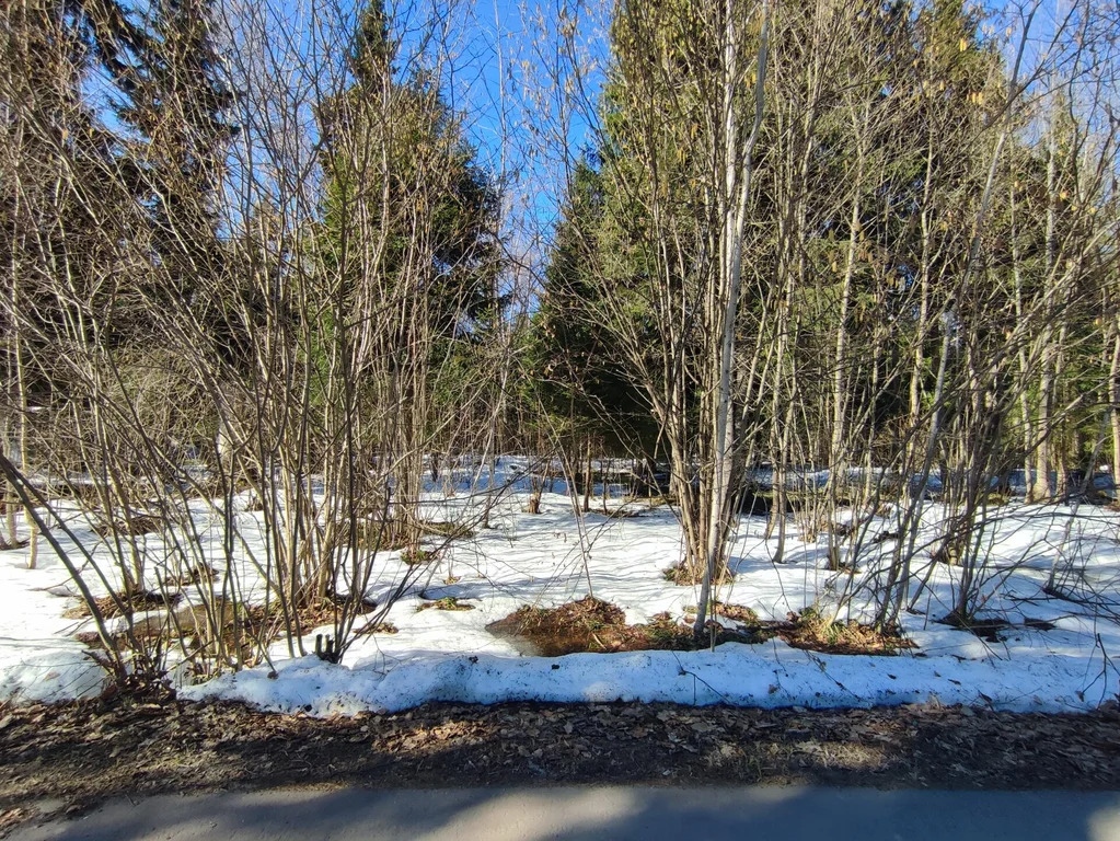 Продажа участка, НИИ Радио, Одинцовский район, Тыльная улица - Фото 4