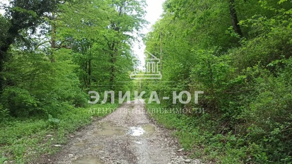 Продажа участка, Ольгинка, Туапсинский район, СНТ Успех - Фото 4