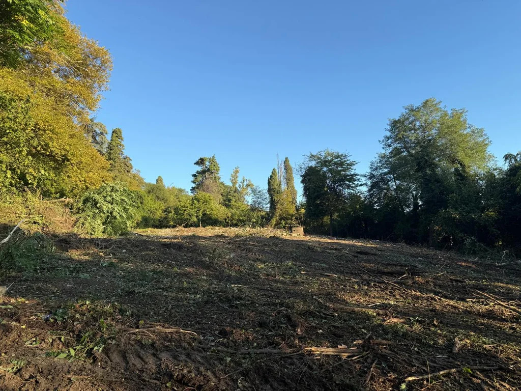 Продается земельный участок 24 сот. - Фото 3