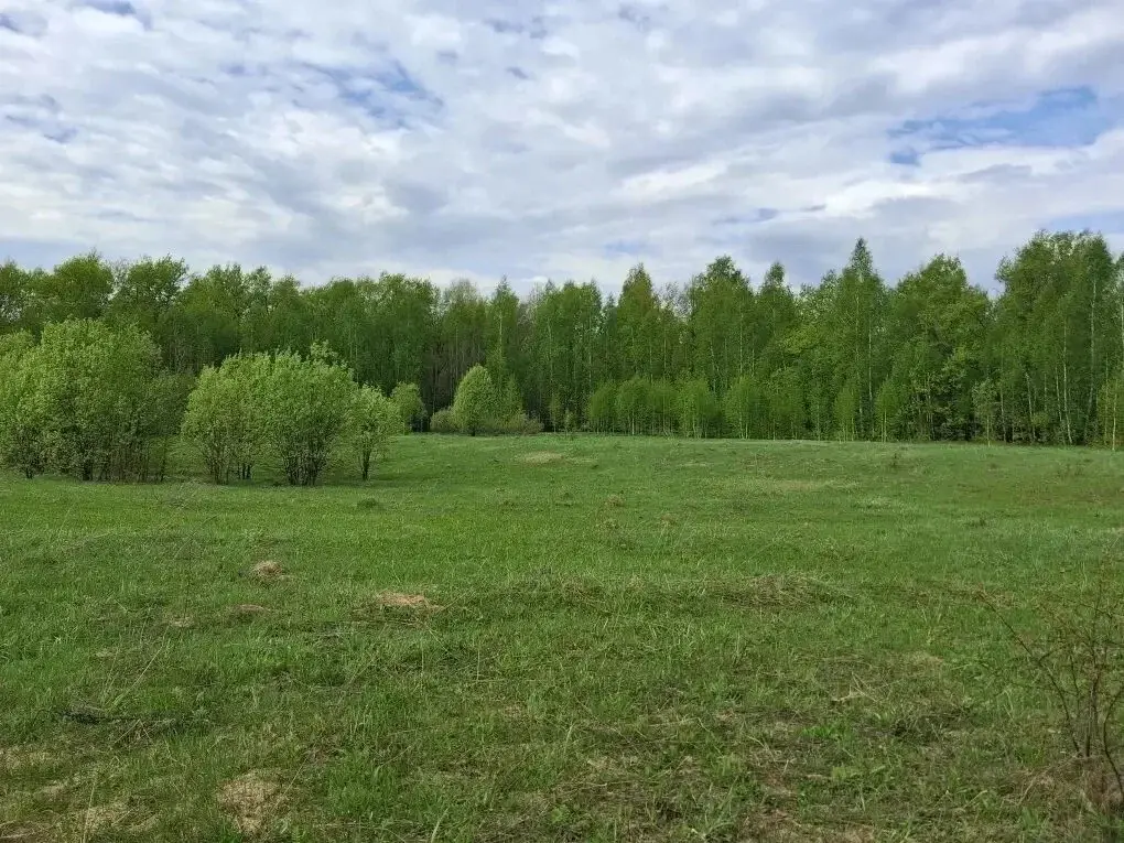 Купить участок 10.0 сот. Татарстан респ., Зеленодольский район, ... - Фото 4