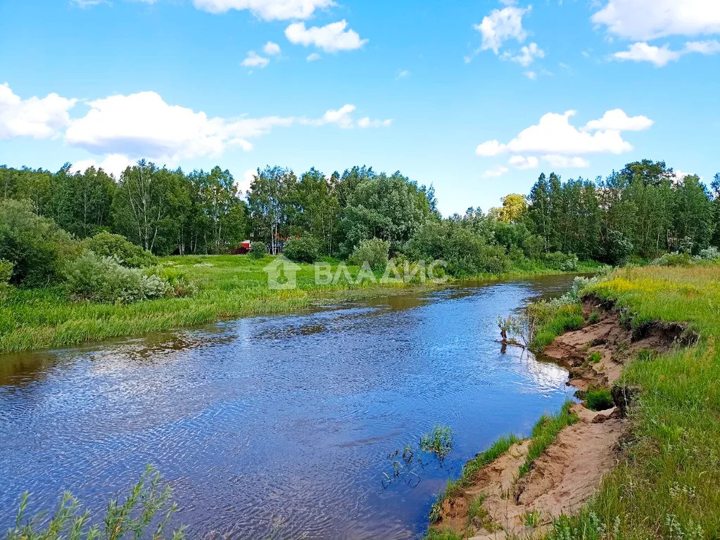 Земельный участок на продажу, Богородский городской округ, деревня ... - Фото 7