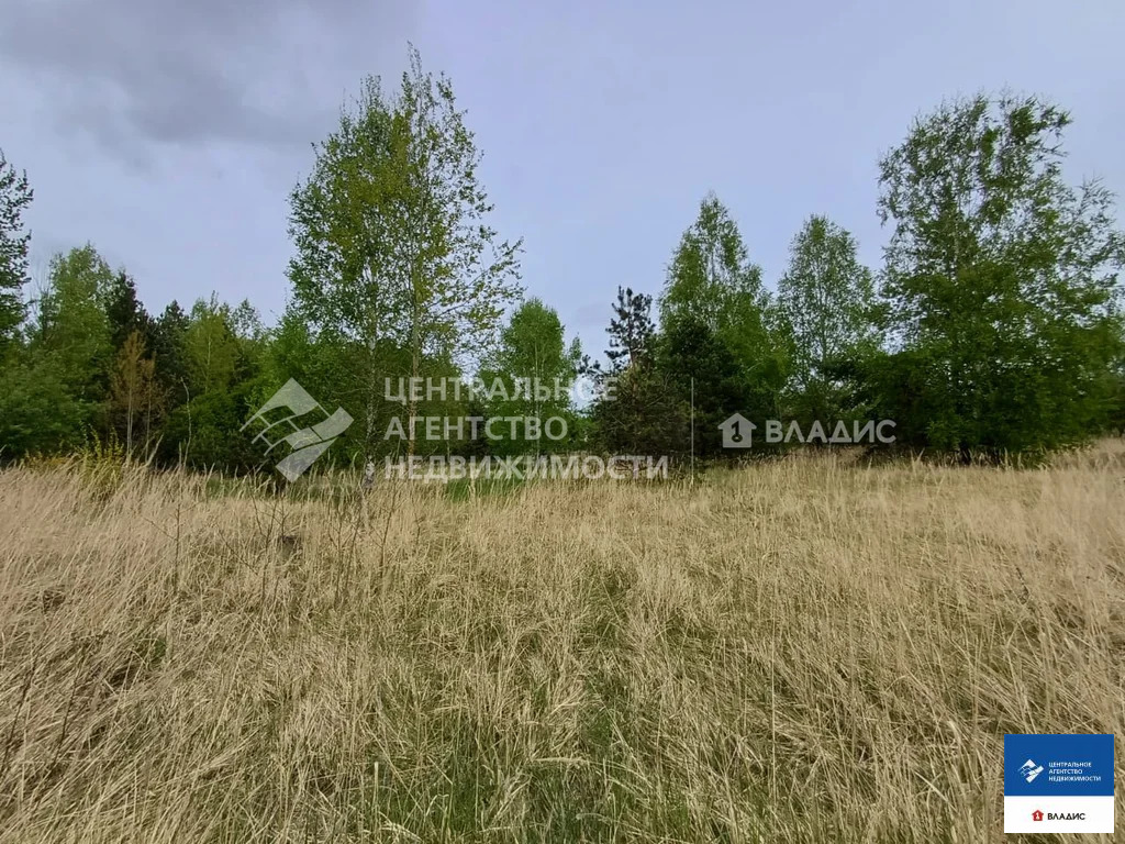 Продажа участка, Фролово, Клепиковский район - Фото 4