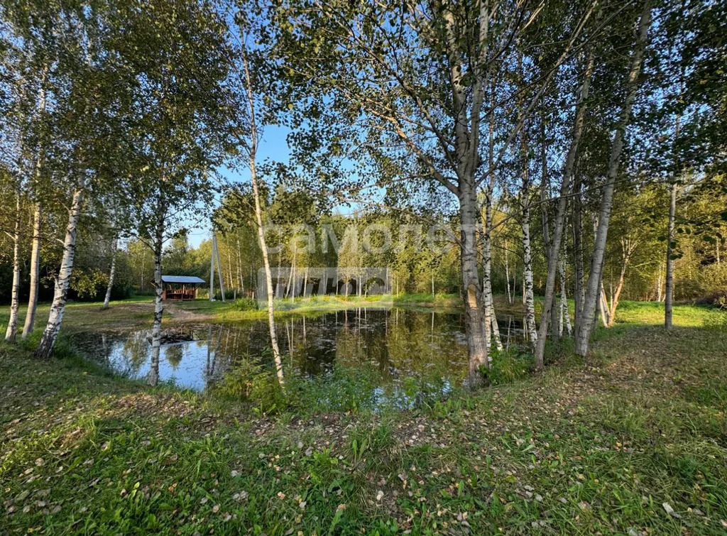 Продажа участка, Талдомский район, Журавли тер. СНТ. - Фото 12
