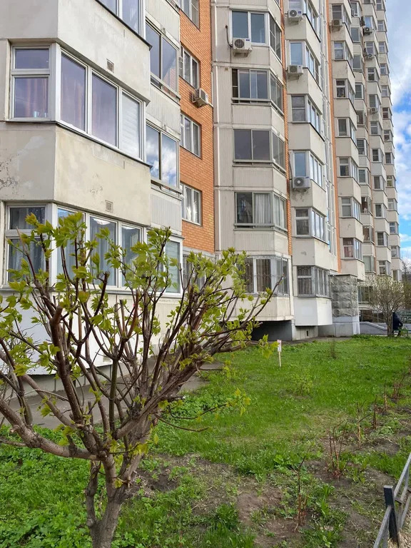 Продажа квартиры, Балашиха, Балашиха г. о., улица Жилгородок - Фото 23