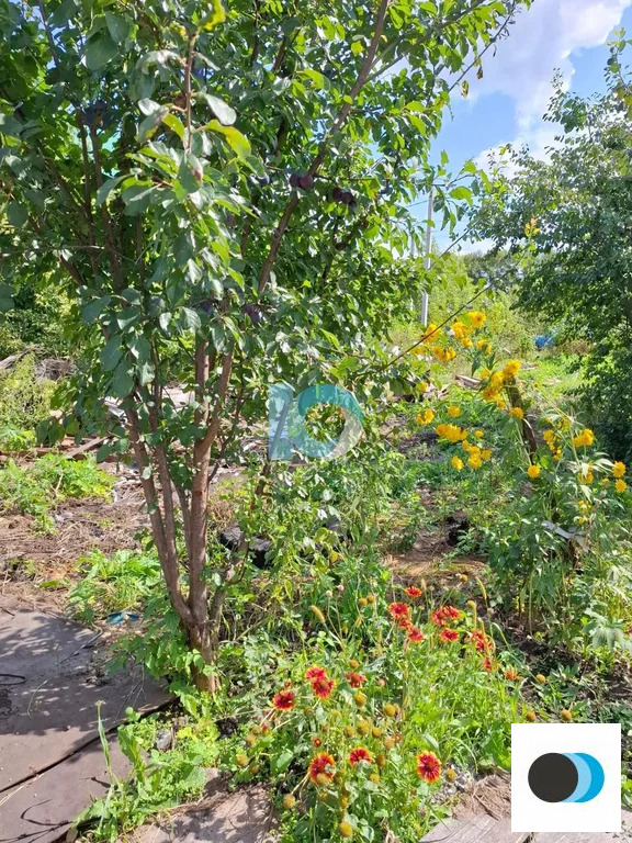Продажа дома, Кетовский район - Фото 17