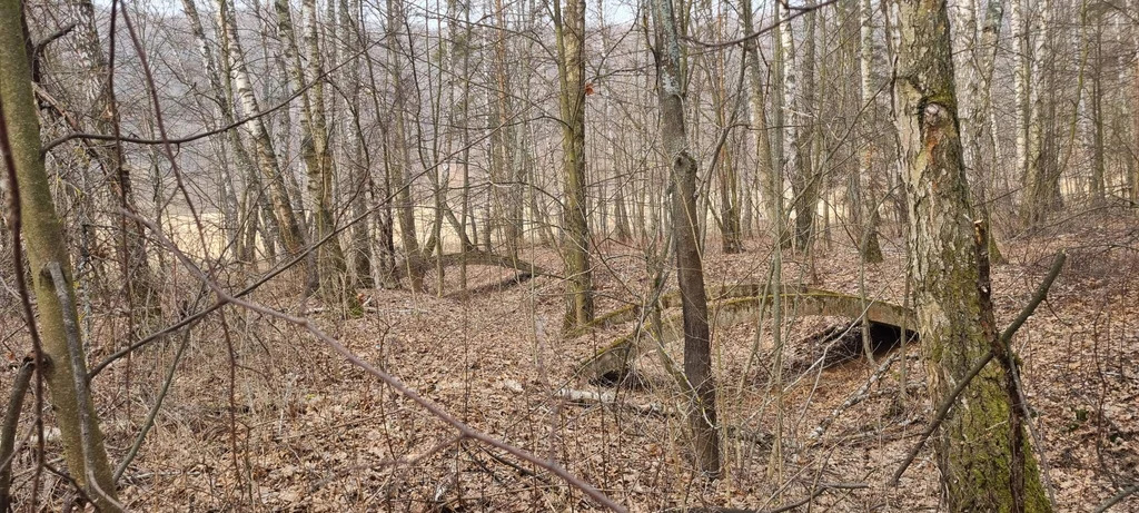 База отдыха "Лесные дали" - Фото 9