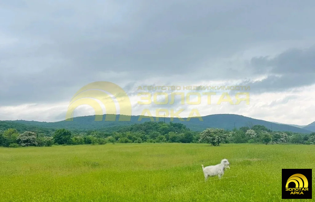 Продажа дома, Неберджаевская, Крымский район, ул. Ленина - Фото 25