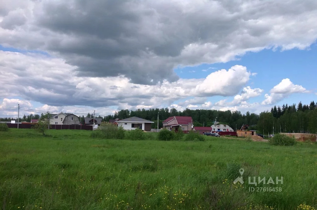 Кролики Дмитровский Район Московская Область Купить