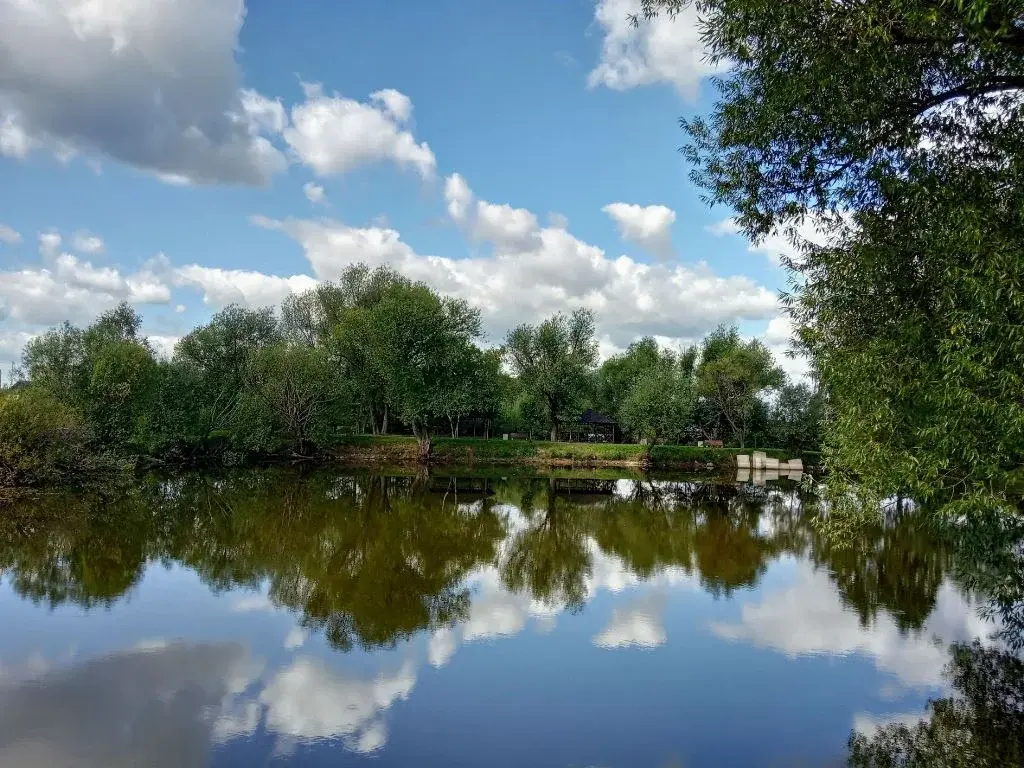 Участок у пруда на Рублевке в Шульгино - Фото 10