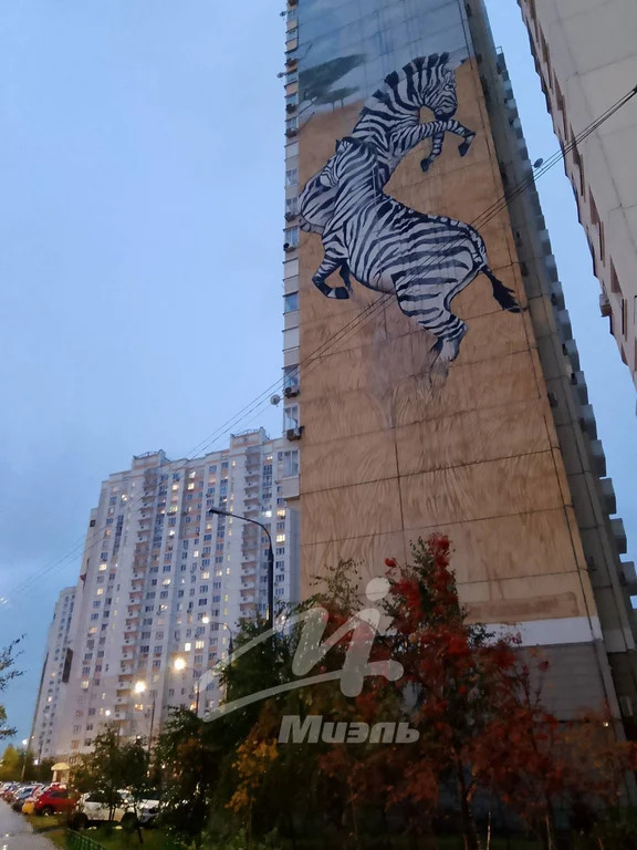 Аренда квартиры, Химки, ул. Горшина - Фото 43