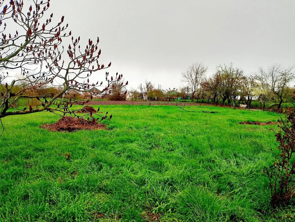 Продажа дома, Старонижестеблиевская, Красноармейский район, ул. ... - Фото 17