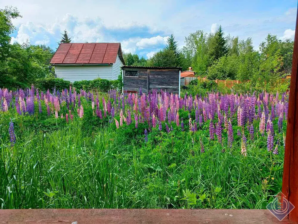 Продажа лесной дачи на 10 сот. в СНТ Порядино, Наро-Фоминский район - Фото 12