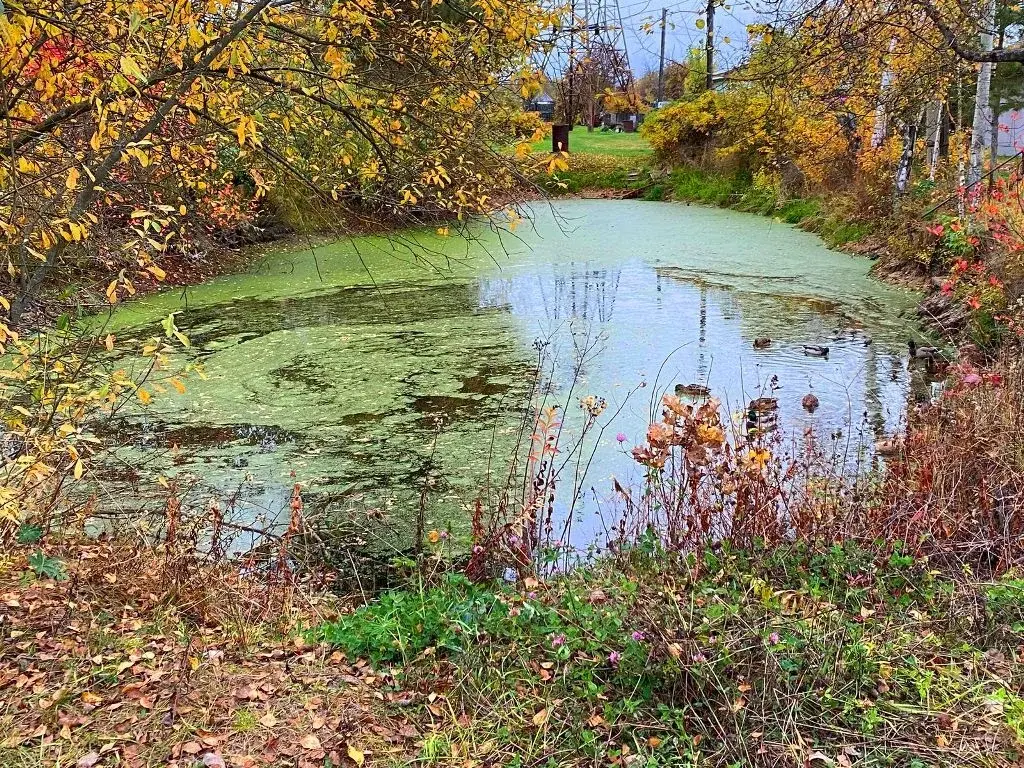 Участок на улице Механизаторов - Фото 15