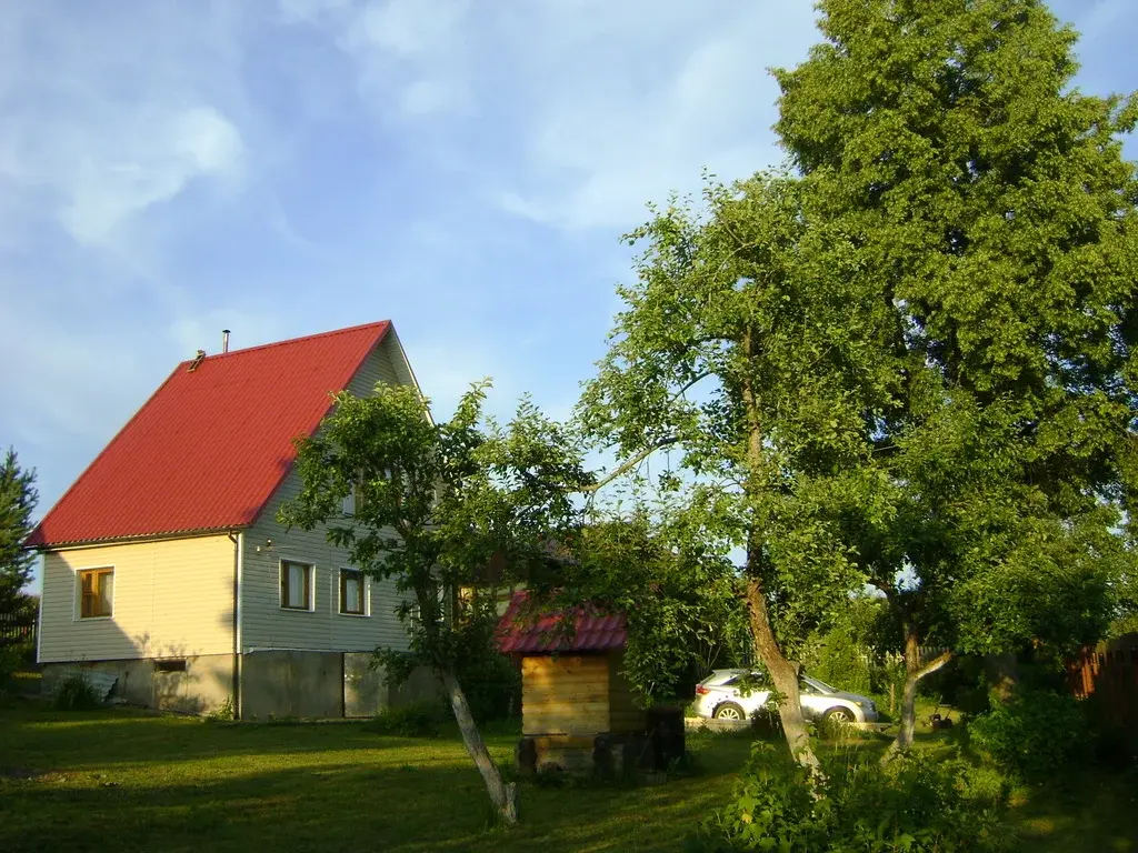 Дубки можайское. Можайск, Вишенки, фото.