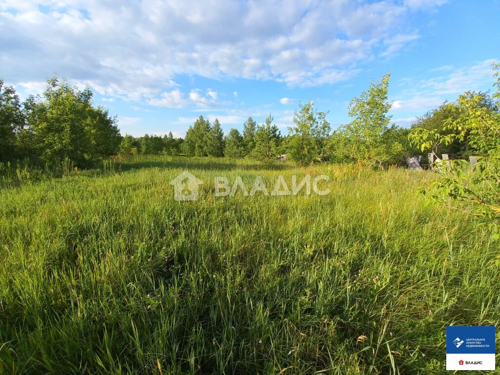 Продажа участка, Ужалье, Спасский район - Фото 4