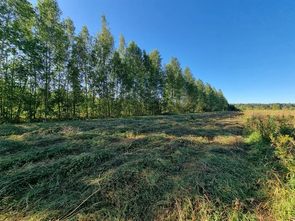 Продажа участка, Большие Пороги, Всеволожский район - Фото 12