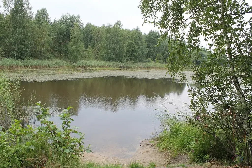 Участок 6 сот. (СНТ, ДНП) - Фото 8