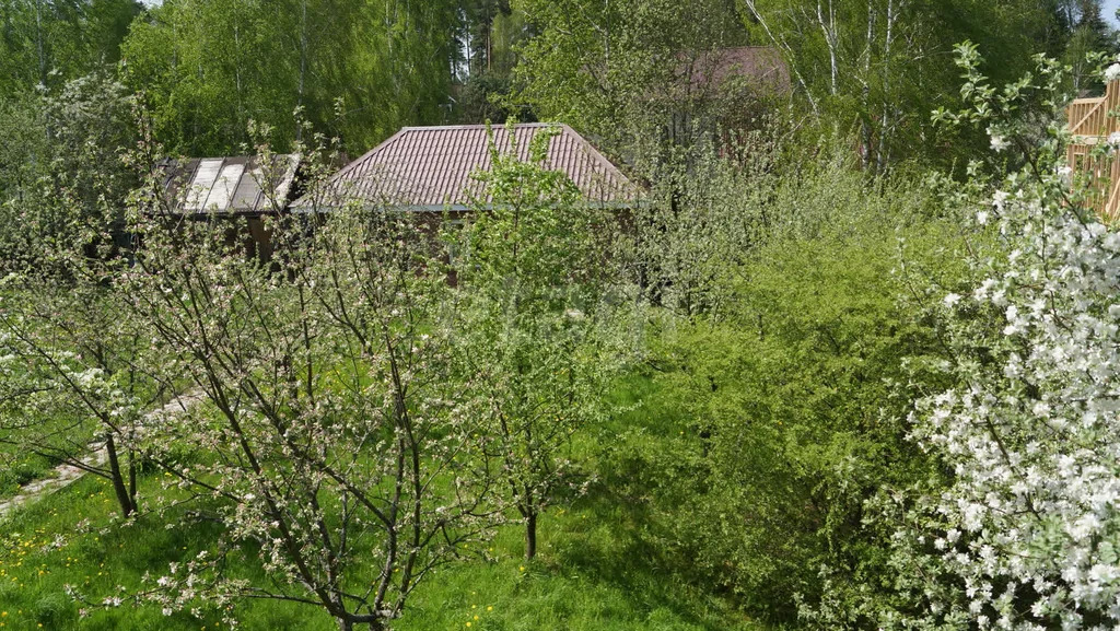 Продажа дома, Чеховский район, садовое товарищество Сказка - Фото 14