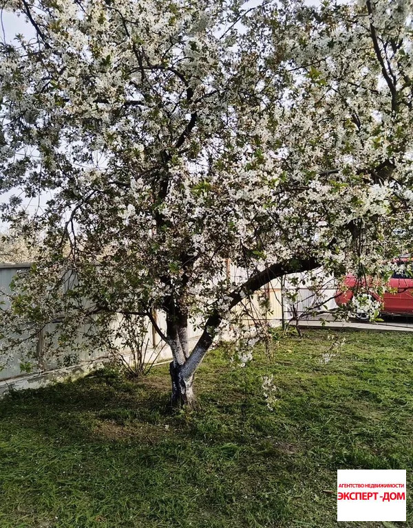 Продажа дома, Весело-Вознесенка, Неклиновский район - Фото 20