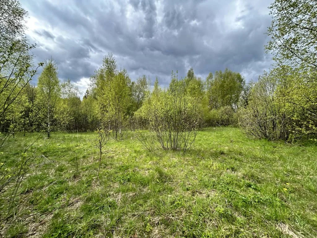 Продажа участка, Пески, Дмитровский район - Фото 4
