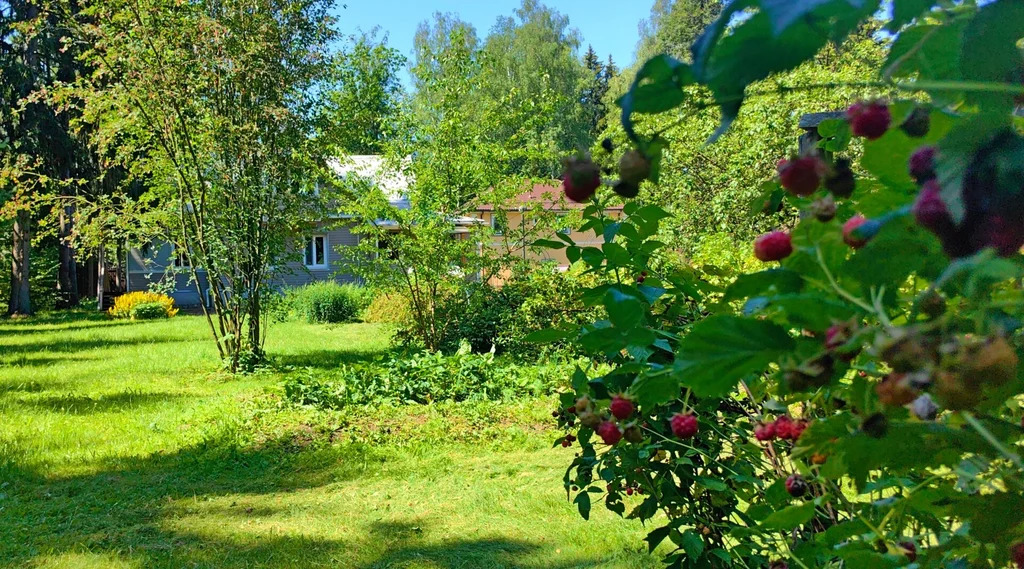 Продажа участка, Апрелевка, Наро-Фоминский район, ул. Кутузова - Фото 21