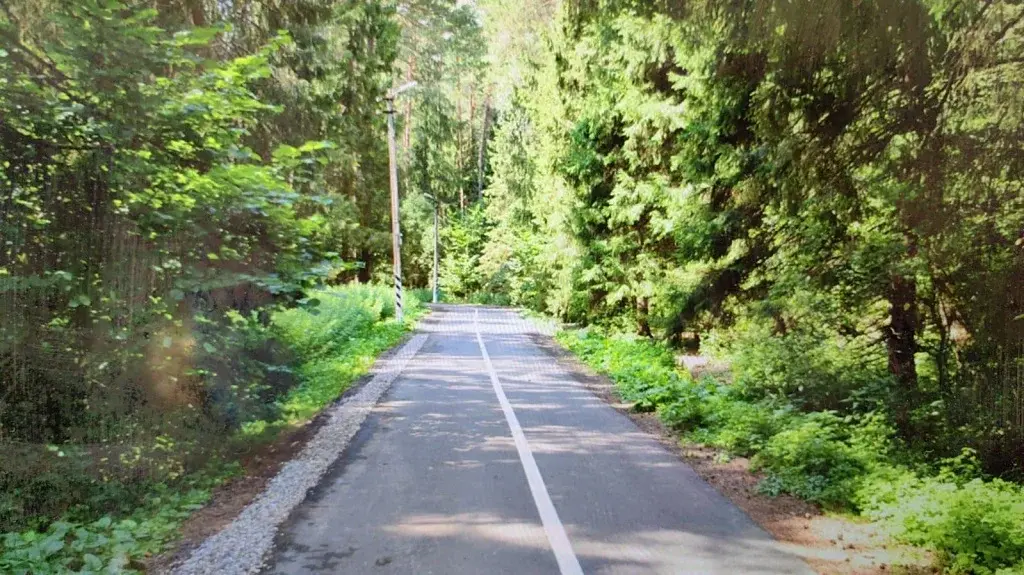 Продажа лесного участка в тихом месте на Рублевке на Николиной горе - Фото 6