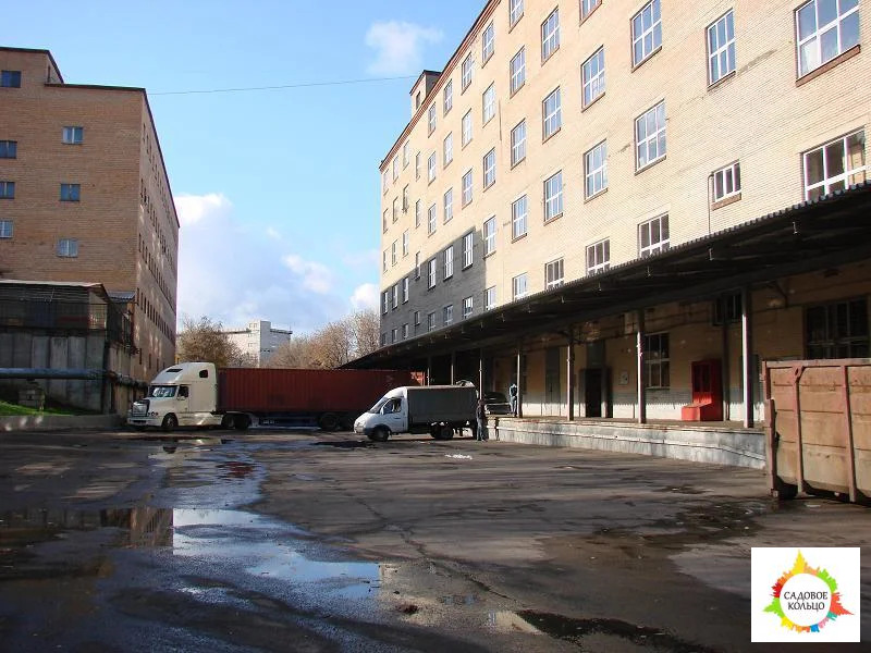 Роман - Фото 2