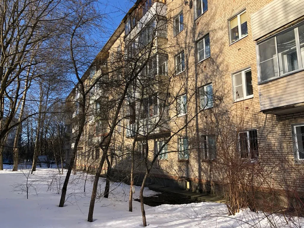 Продажа квартиры, Большие Вяземы, Одинцовский район - Фото 14
