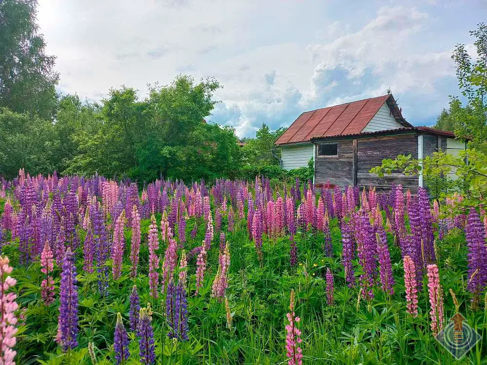 Продажа лесной дачи на 10 сот. в СНТ Порядино, Наро-Фоминский район - Фото 14