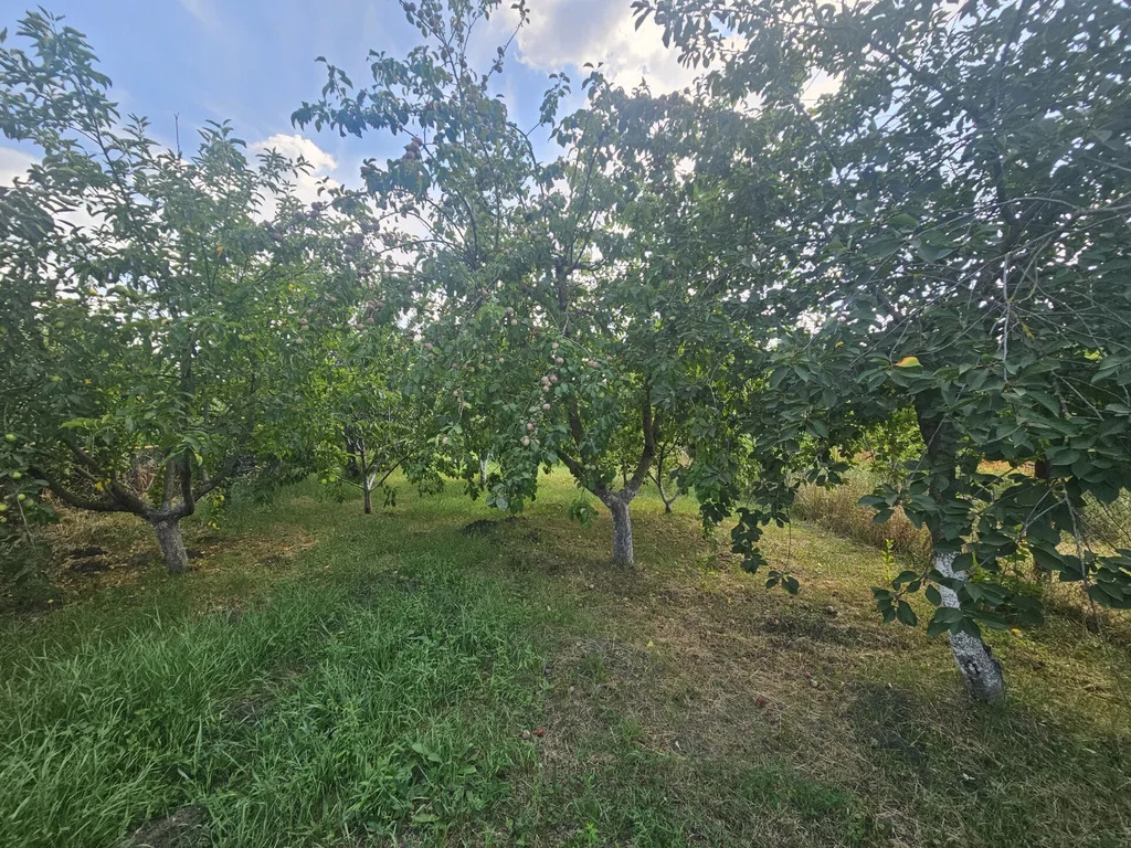 Продажа дома, Новоукраинский, Крымский район, ул. Темченко - Фото 32