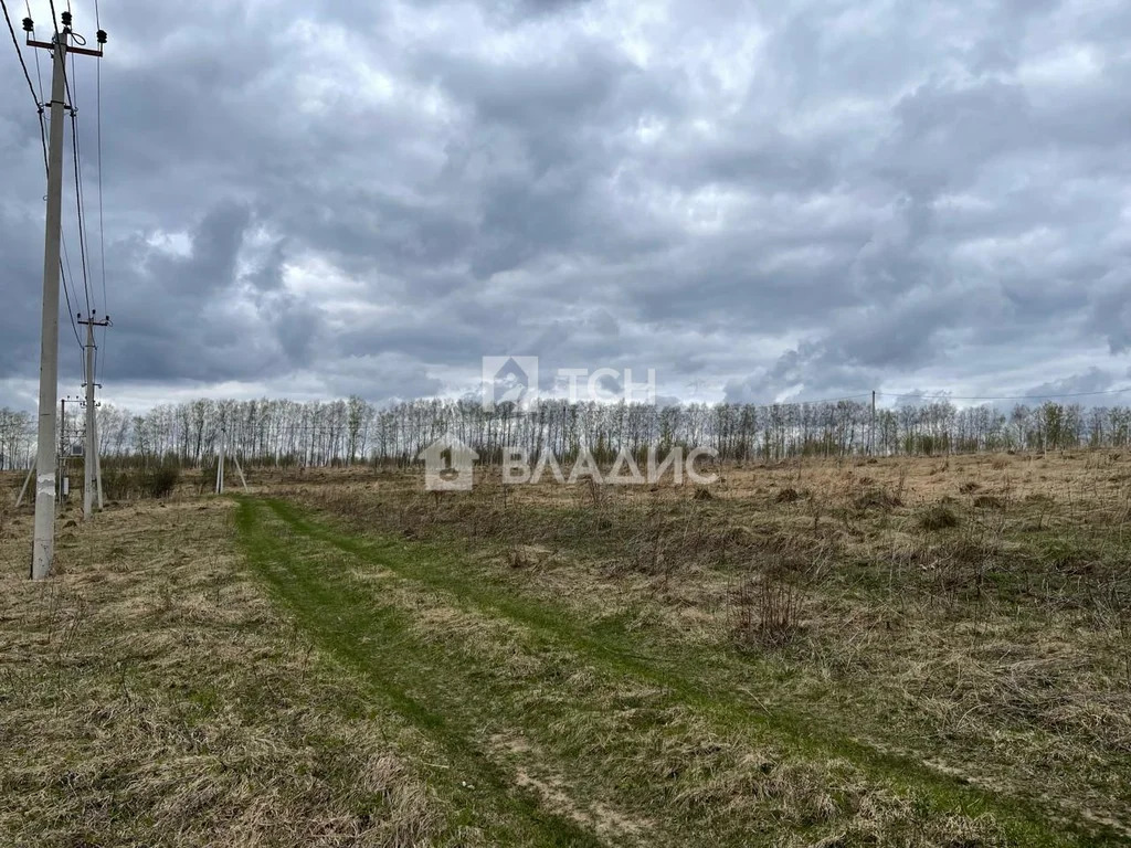 Ясногорский район, село Богословское, Лесная улица,  земля на продажу - Фото 2