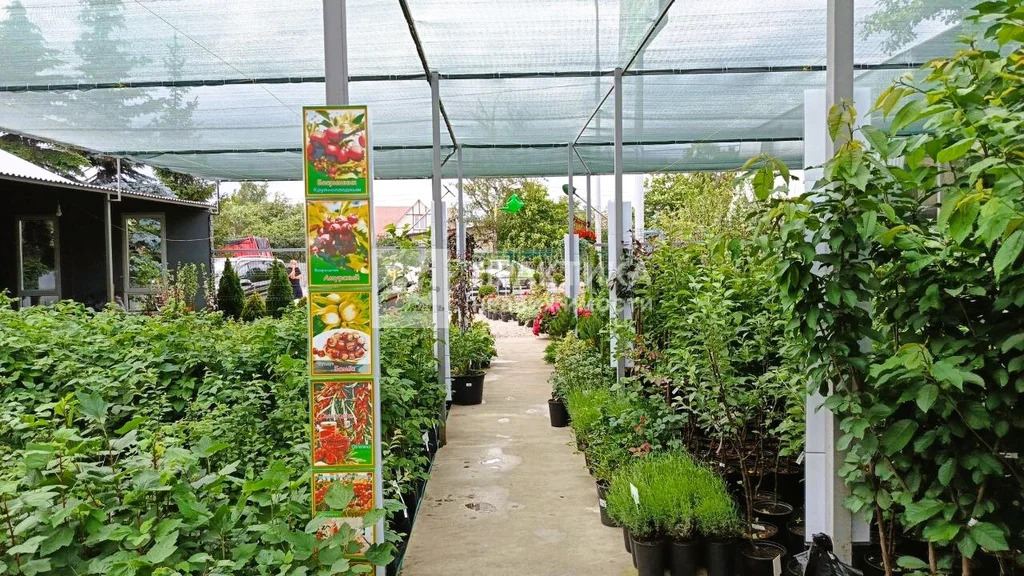 Продажа ПСН, Балашиха, Балашиха г. о., Щелковское ш. - Фото 21