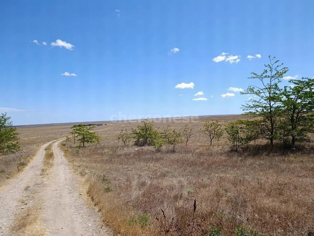 Продажа участка, Наташино, Сакский район, ул. 50 лет ВЛКСМ - Фото 1