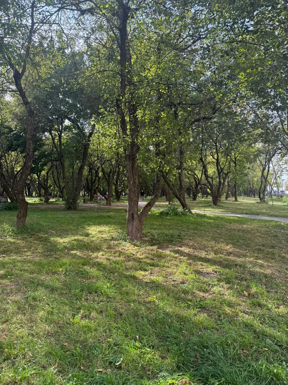 Продам 2-комн. квартиру 37 кв.м. - Фото 5