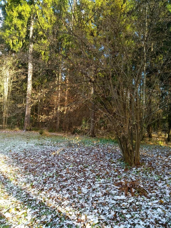 Продажа дома, Мытищинский район - Фото 13