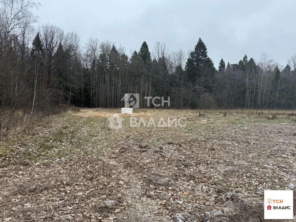 городской округ Пушкинский, коттеджный посёлок Калистово,  земля на ... - Фото 4