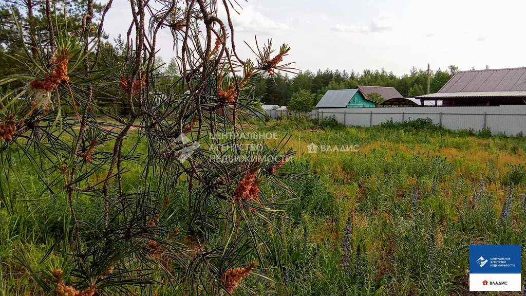 Продажа участка, Рязанский район, садоводческое товарищество Мещера - Фото 1